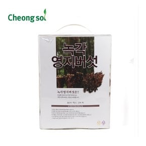 녹각영지100g(팩)