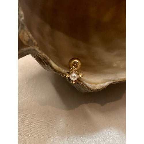 Add Image 6