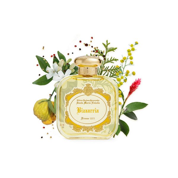 비자리아 오드퍼퓸 100ml 6313964001200