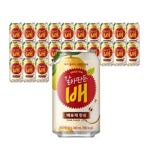 [코카콜라직영 H]  갈아만든배 340ml 24CAN