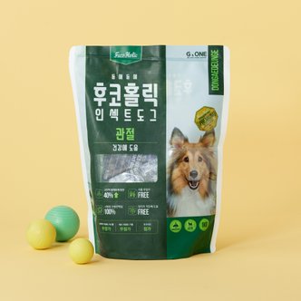 MOLLY'S 후코홀릭 인섹트 도그 동애등에 관절 1kg