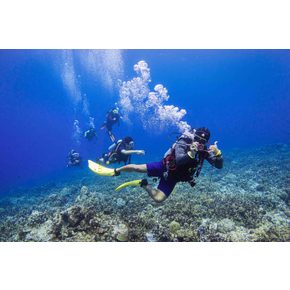 괌 교육 스쿠버 다이빙(오픈워터/어드벤스드)