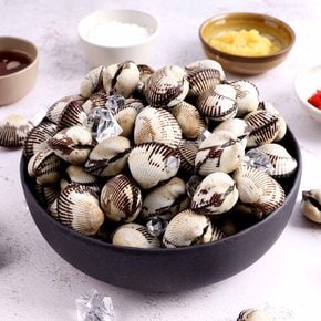 산지직송 당일조업 제철 벌교 꼬막 2kg 특대