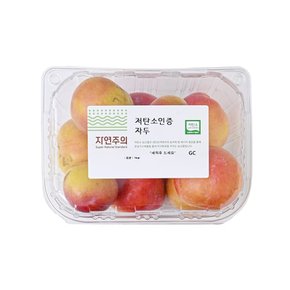 저탄소인증 자두 1kg/팩