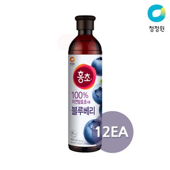 청정원 몸과 맘이 반짝! 청정원 홍초 블루베리 블라썸 900ml x 12