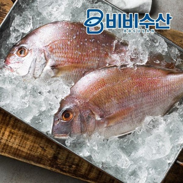 확대된 대표 상품이미지1