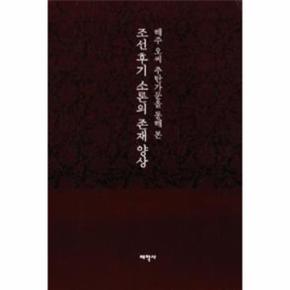 조선 후기 소론의 존재 양상   전2권