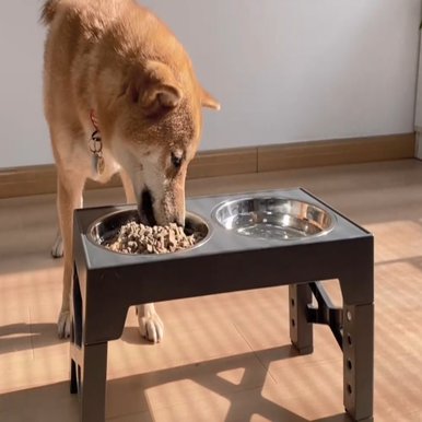 아마폴라 강아지밥그릇 대형견밥그릇 고양이물그릇 높이조절 식기 2구