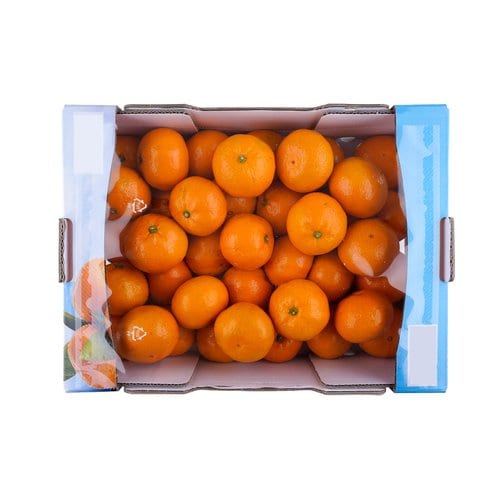 제주 감귤 4kg 박스