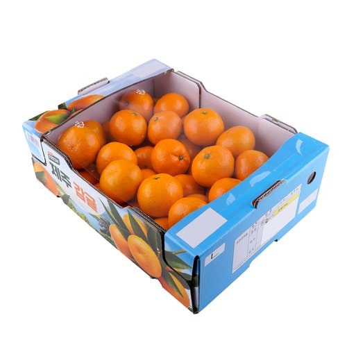 제주 감귤 4kg 박스