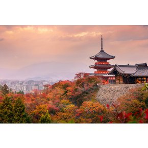 오사카/교토/나라 3일 +오하라마을 나라산책 도톤보리 힐링교토 산젠인 청수사 오사카성공원 미식여행