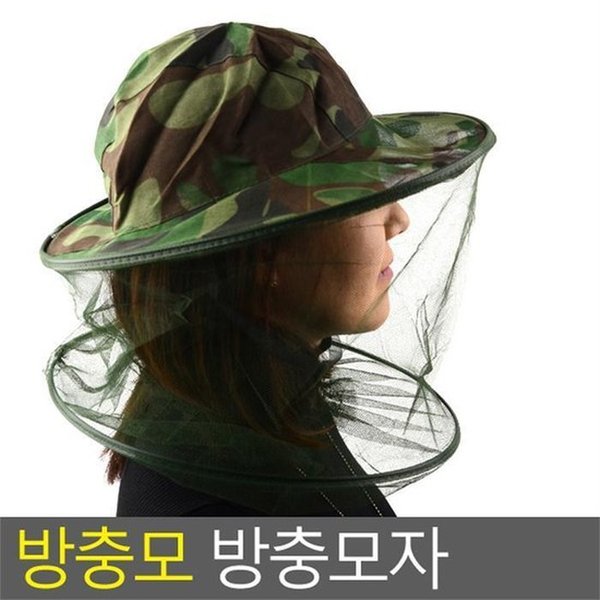 확대된 대표 대표이미지