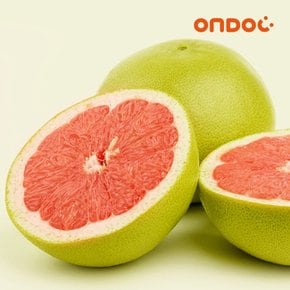 과즙가득 베트남자몽 레드 포멜로 1kg 내외 (1과)