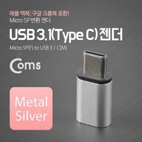 USB 3.1 젠더(Type C) Metal/Silver ITC090