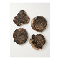 Set of Four Petrified Wood Coasters 17411127376901398