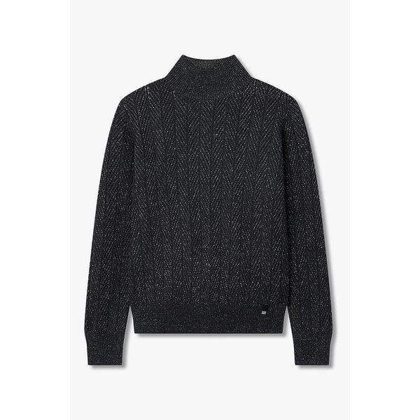 여성 쉐브론 메탈릭 모크넥 스웨터 4625351515000