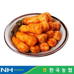 한국농협 마이산김치 국내산 알타리 총각김치 1kg