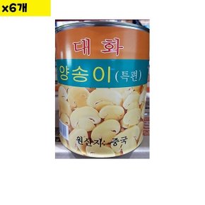 식자재 유통 도매 양송이캔 특편 대화 2.8Kg x6개 (WDA80A4)