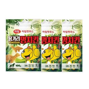 더리얼 용가리 멍치킨 100g x 3EA