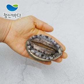 [9/11일 자정 주문마감][산지직송] 완도전복[中] 13-14미 1.6kg+백화점보냉가방포장