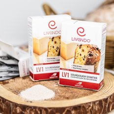  리벤도 사워도우스타터 LV1 발효종 사워도우만들기