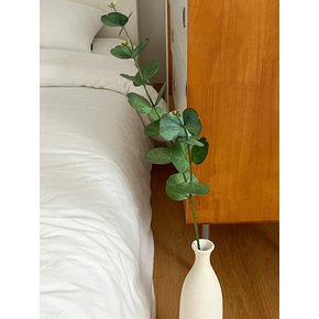 둥근잎 유칼립투스 가지 조화