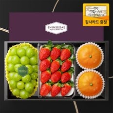 [1/13일 순차출고][산지직송] 씨에스타9호 샤인머스캣(650g) 1입 + 금실딸기 350g + 애플망고(400g) 2입 과일선물세트