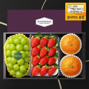 [1/13일 순차출고][산지직송] 씨에스타9호 샤인머스캣(650g) 1입 + 금실딸기 350g + 애플망고(400g) 2입 과일선물세트(보자기동봉)