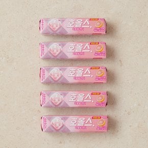 스틱 자몽 27.9g 5개입