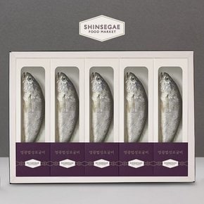영광법성포 백년굴비세트 10미 1.3kg/22-23cm/개별포장