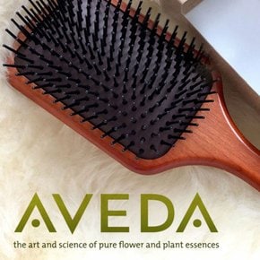 아베다 패들 브러쉬 헤어 브러쉬 AVEDA