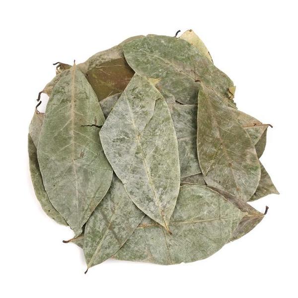 신선약초 그라비올라잎 200g (S10455806)