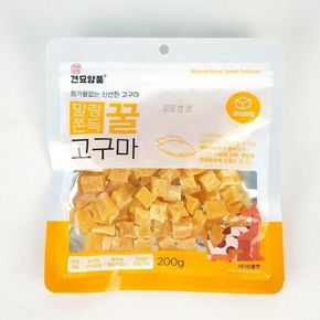 강아지 견묘양품 꿀고구마 큐브 200g 1P 훈련 간식