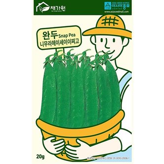 아시아종묘 완두콩씨앗종자 니무라헤이세이이찌고(20g)