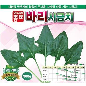 아시아종묘 시금치씨앗종자 바리시금치(500g) 교배용