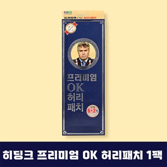 더블에이 히딩크 프리미엄 OK 허리패치 1팩(자석6장+비자석2장)