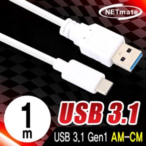 NM AM 화이트 CM 케이블 USB3.1 Gen1 1m