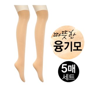 기모 융털 두꺼운 반스타킹 판타롱 스타킹 5족 세트_P314550318