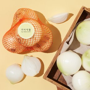 친환경 양파 1.5kg 기획