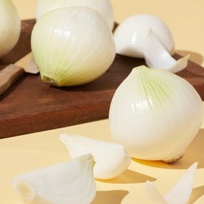 친환경 양파 1.5kg/망 기획