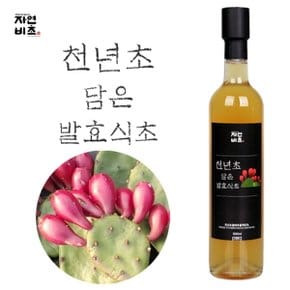 천년초담은 발효식초