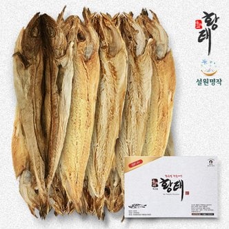 용대리 [산지직송/용대리]하늘내린 황태포10미(42cm-44cm)[박스포장]