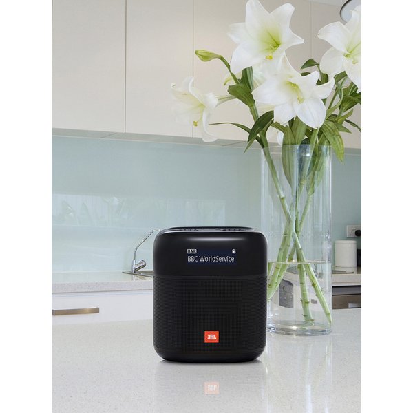 삼성공식파트너 JBL TUNER XL 블루투스 스피커