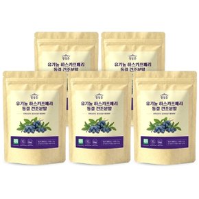 유기농 하스카프베리 분말 30g (항산화 영양 무첨가) 5개