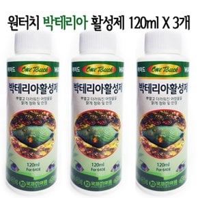 원터치 박테리아 활성제 120ml x3개입