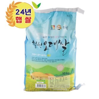  철원오대쌀 24년산 햅쌀 DMZ 대마리 10kg