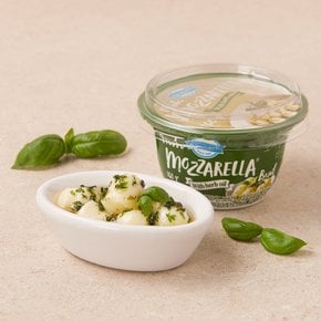 덴마크 후레쉬모짜렐라 바질 160g