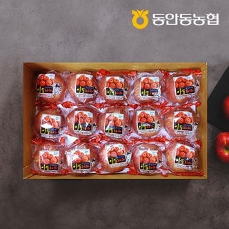 자연맛남 동안동농협 고당도 정품 세척 사과 3kg (16과내)
