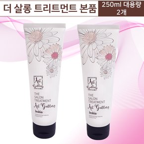 더 살롱 아트갤러리 트리트먼트 250ml 2개