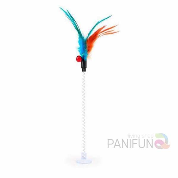 확대된 대표 1
